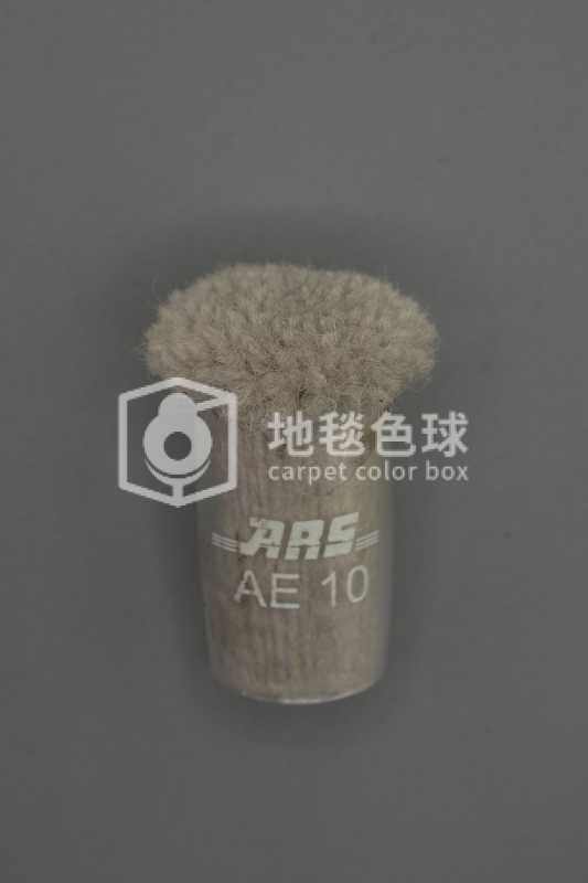 ARS AE10
