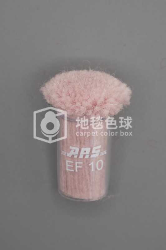 ARS EF10