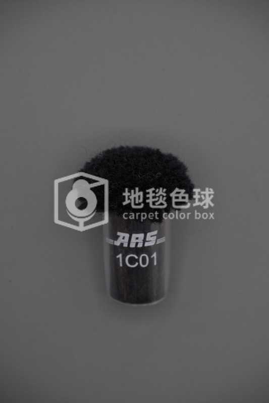 ARS 1C01