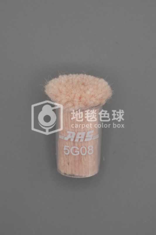 ARS 5G08