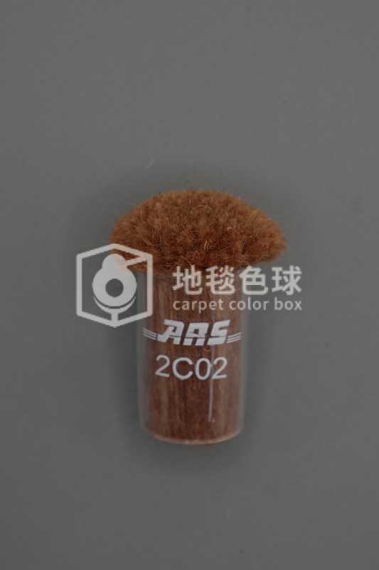 ARS 2C02