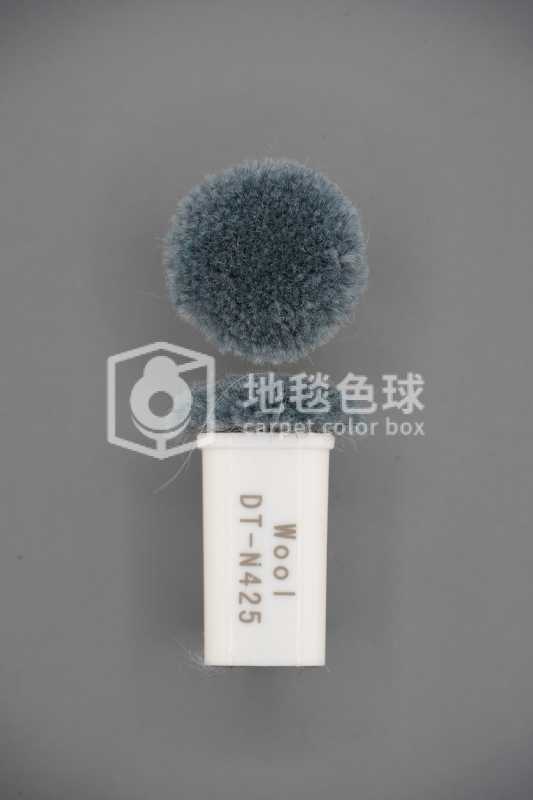 DT N425