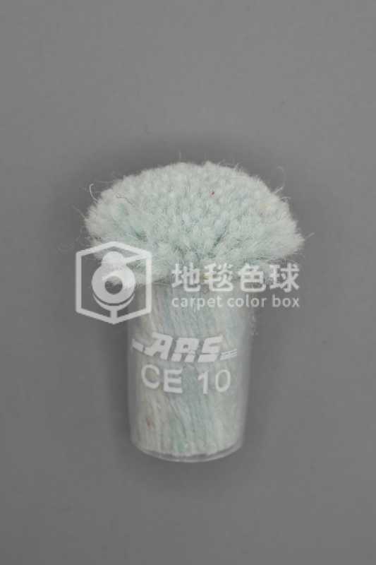 ARS CE10
