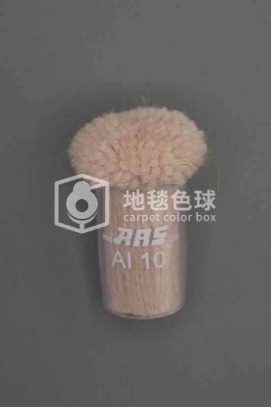 ARS AI10