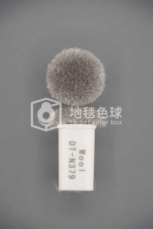 DT N379