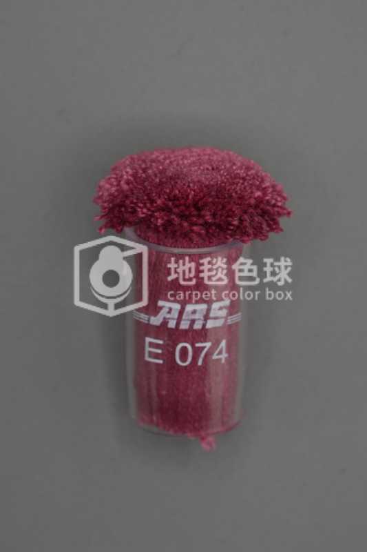 ARS E074