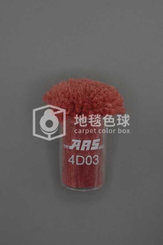 ARS 4D03
