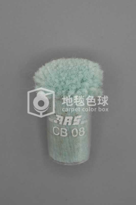 ARS CB08