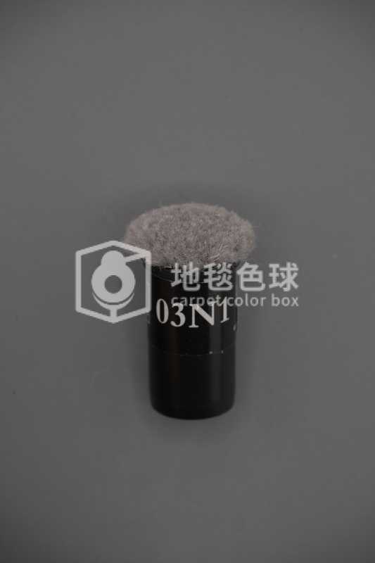 03N1