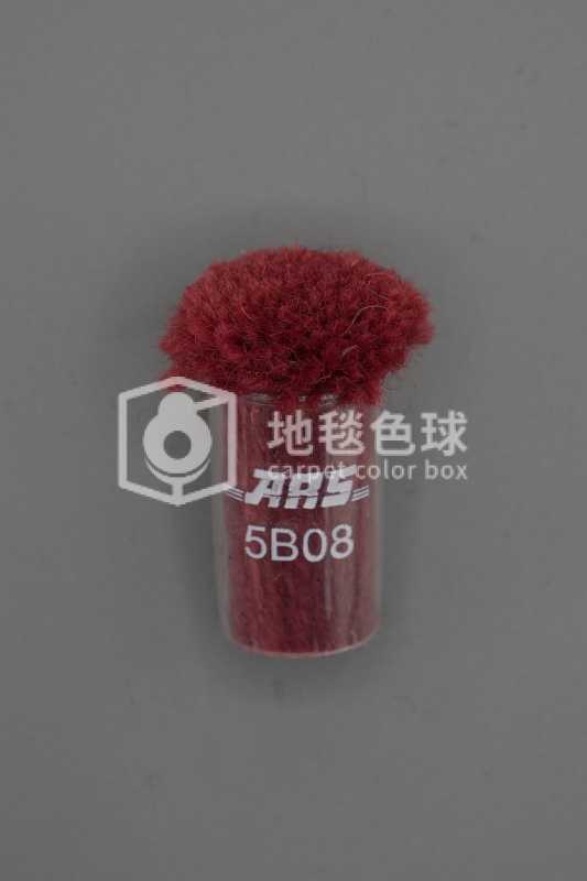 ARS 5B08