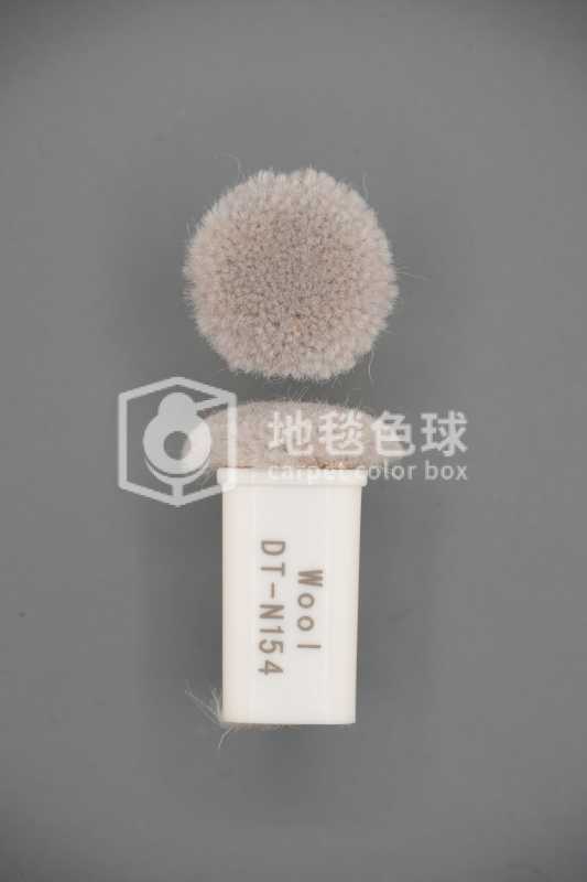 DT N154