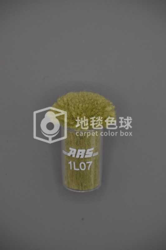 ARS 1L07