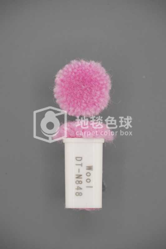 DT N848
