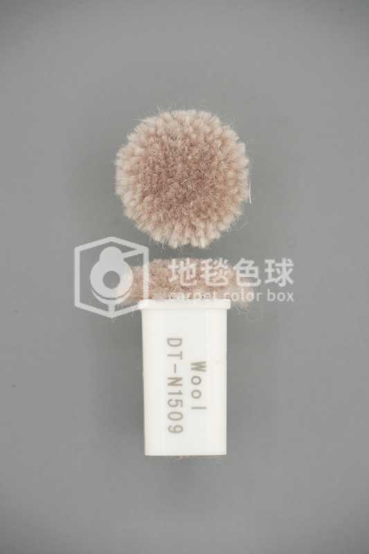 DT N1509