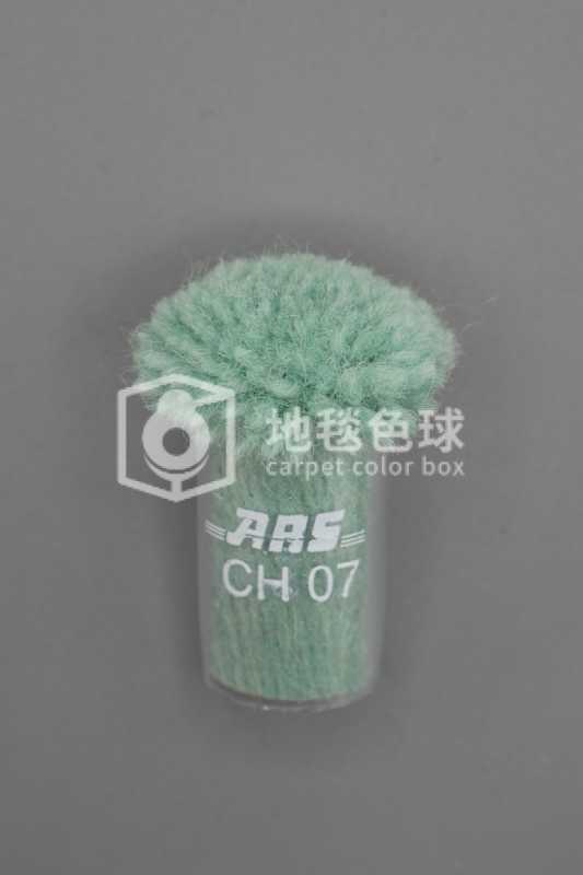 ARS CH07