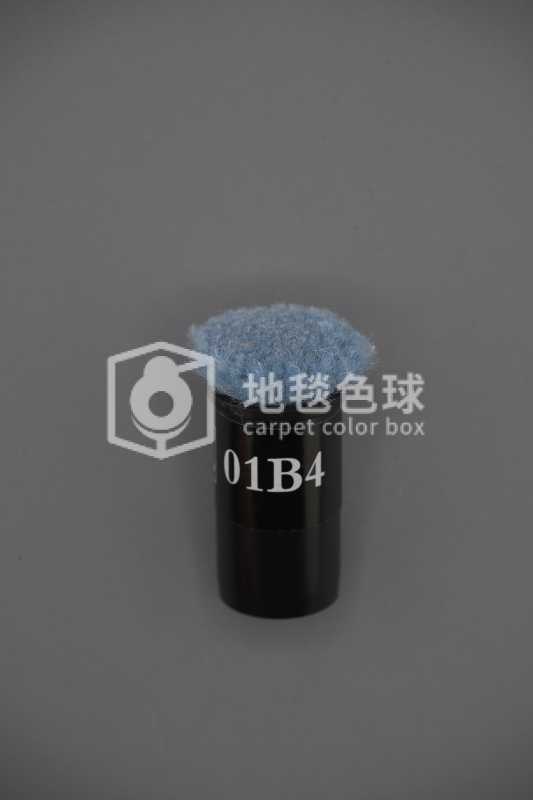 01B4