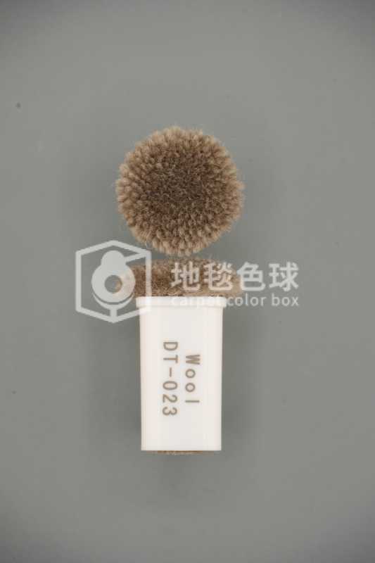 DT 023