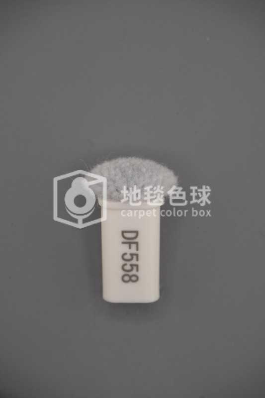 DF558