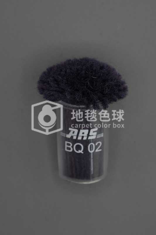 ARS BQ02