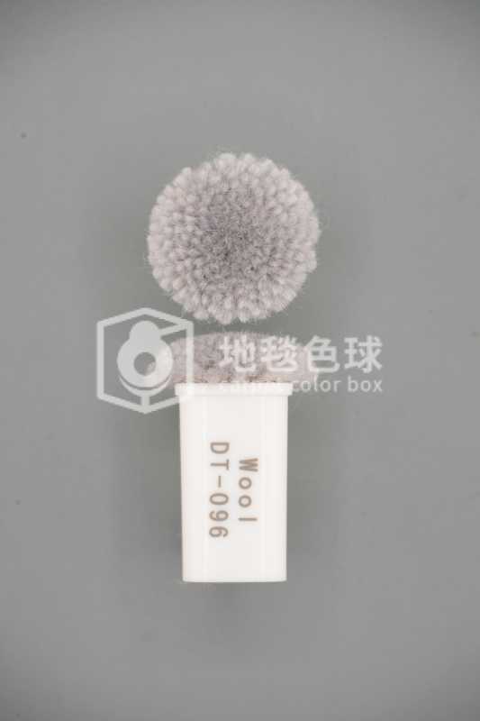 DT 096
