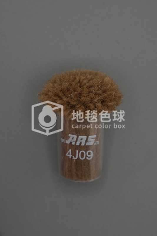 ARS 4J09
