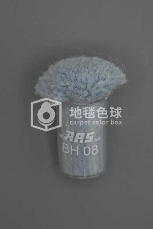 ARS BH08