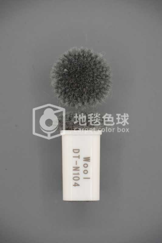 DT N104