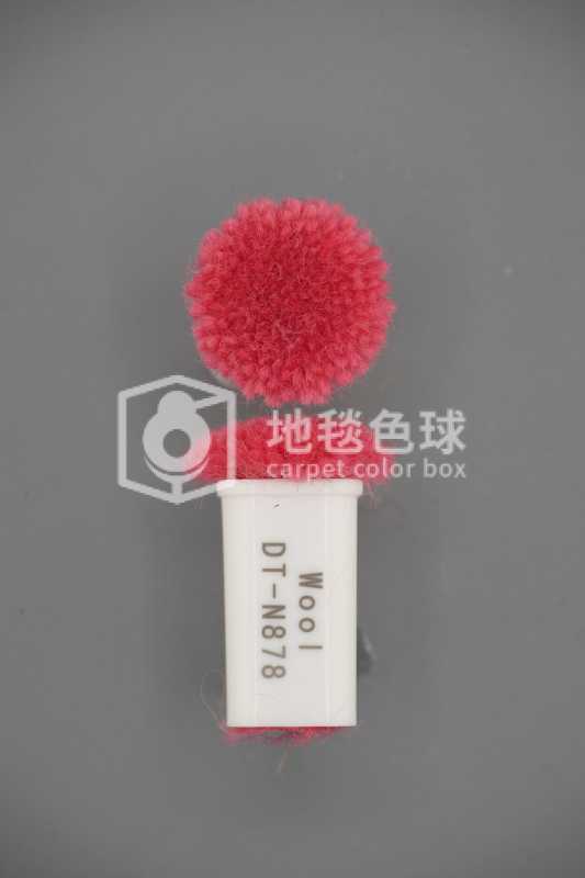 DT N878