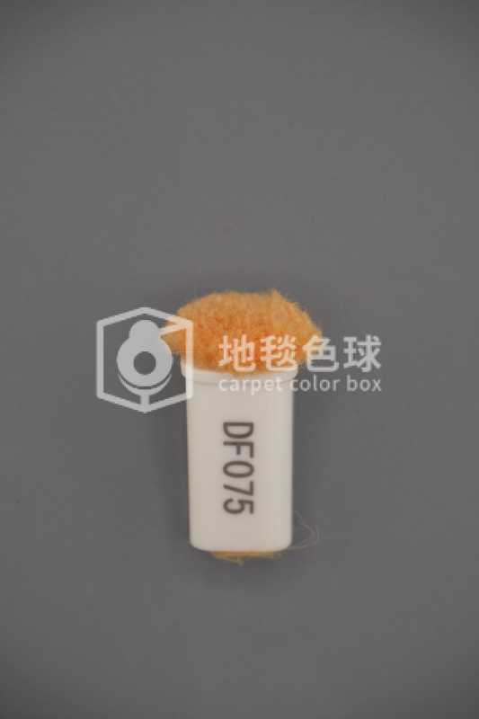 DF075