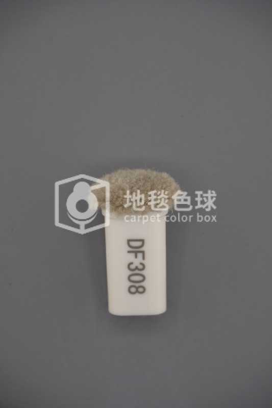 DF308