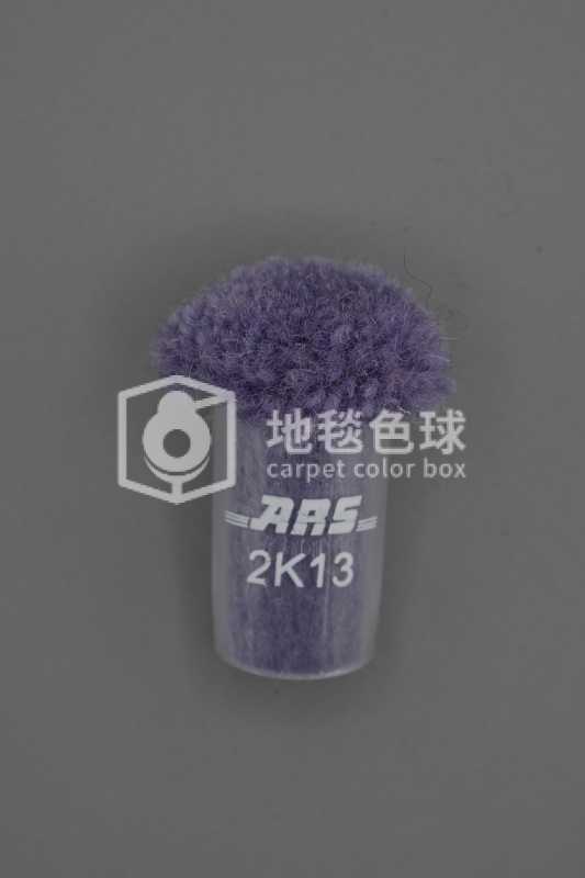 ARS 2K13
