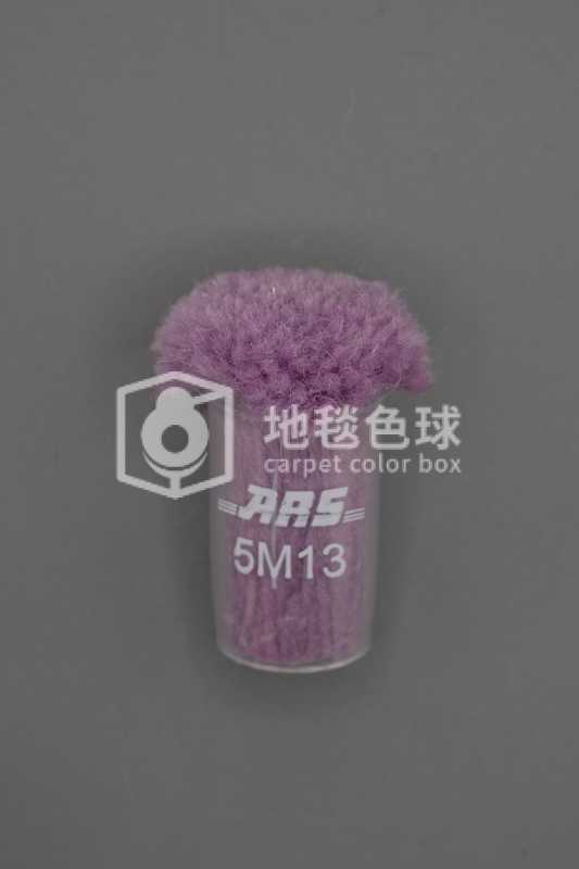 ARS 5M13