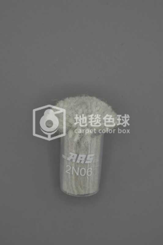 ARS 2N06