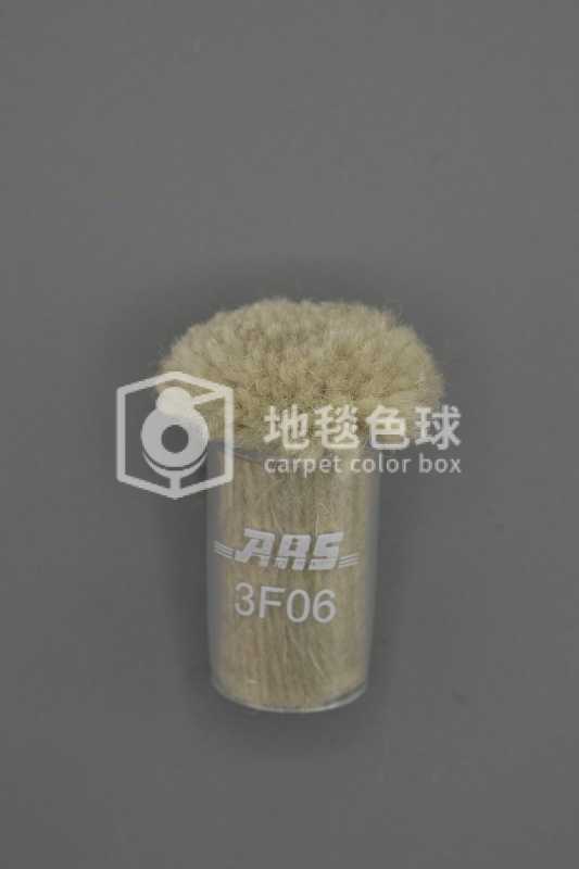 ARS 3F06