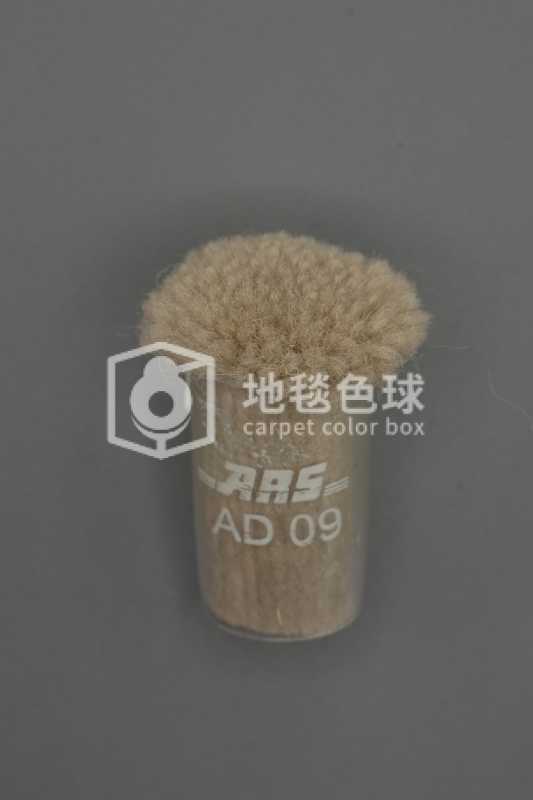ARS AD09
