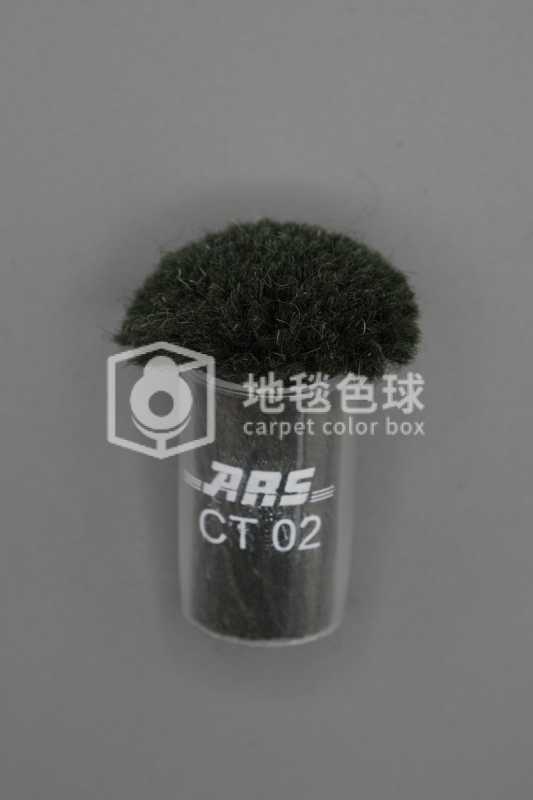 ARS CT02
