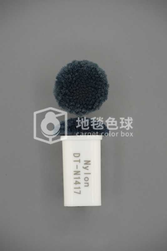 DT N1417
