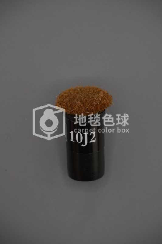 10J2