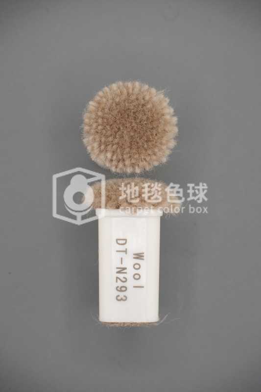 DT N293