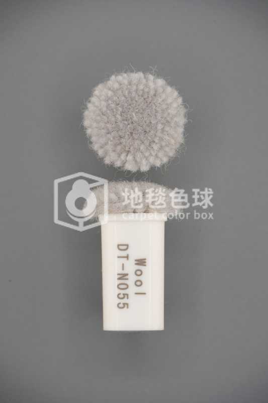 DT N055