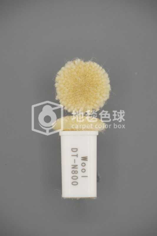 DT N800