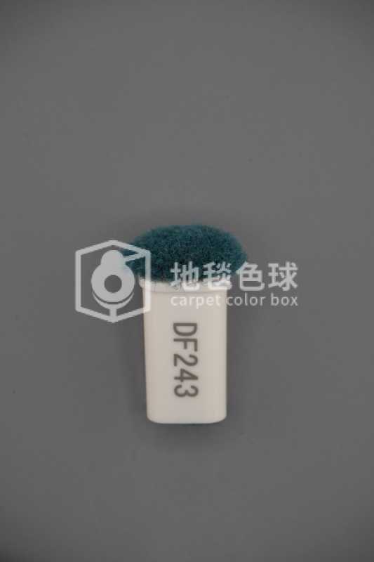 DF243