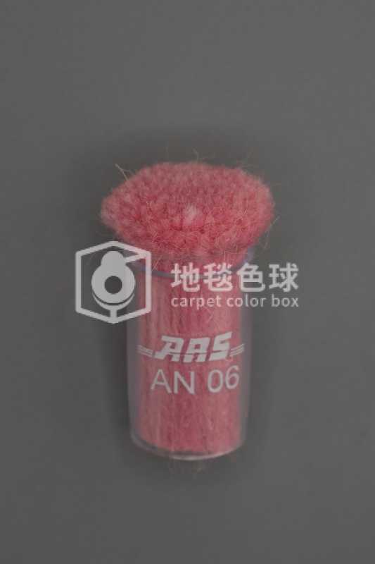 ARS AN06