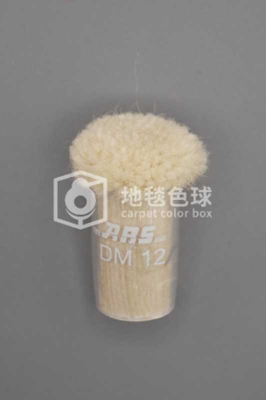 ARS DM12
