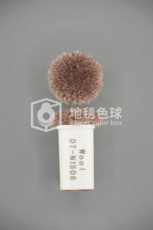 DT N1506