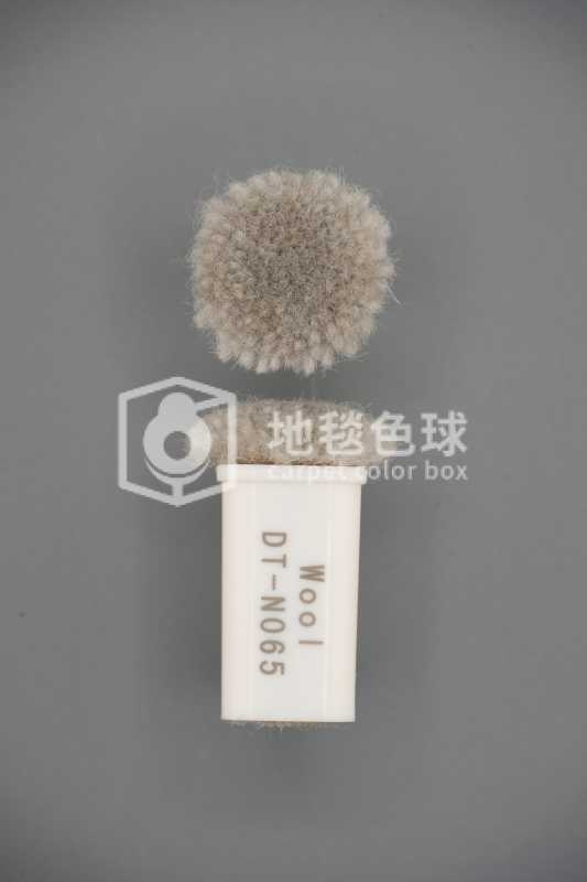 DT N065