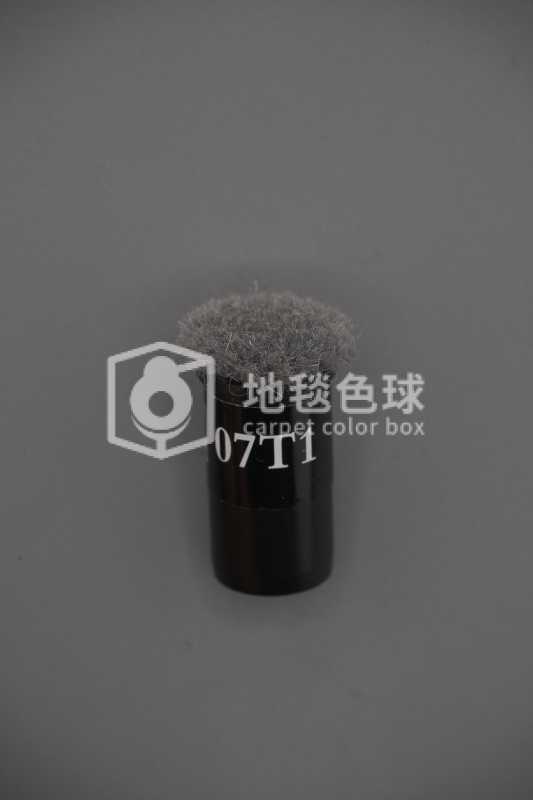 07T1