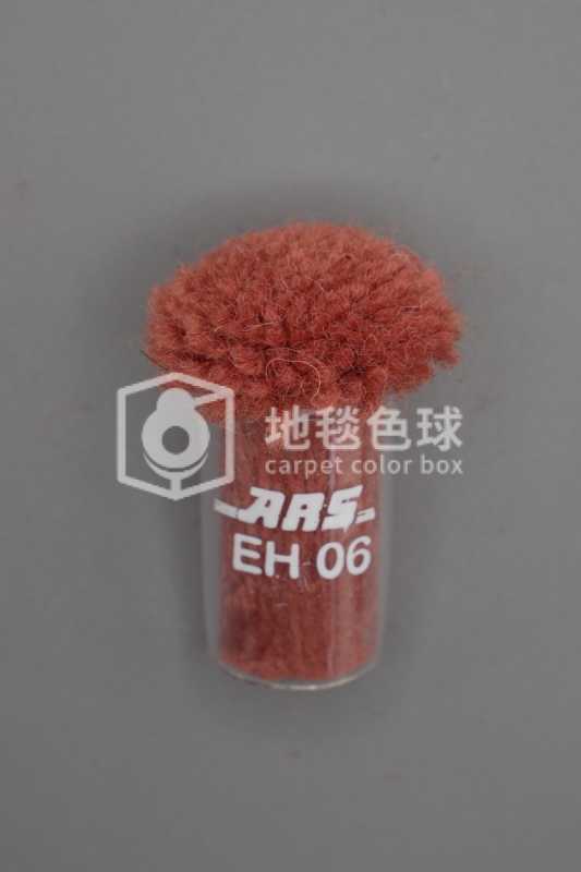 ARS EH06