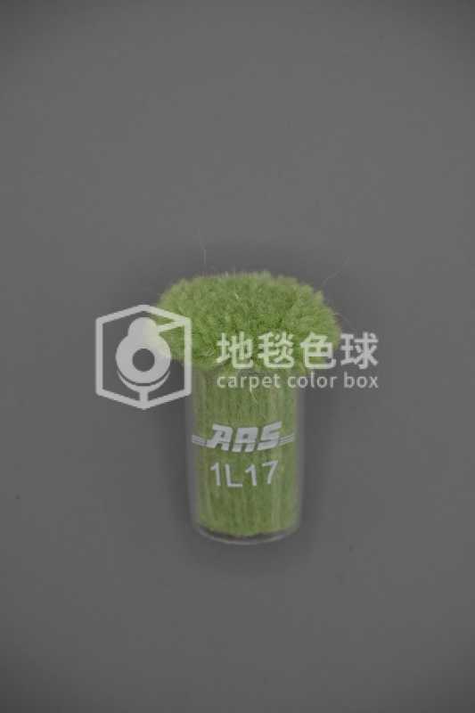 ARS 1L17