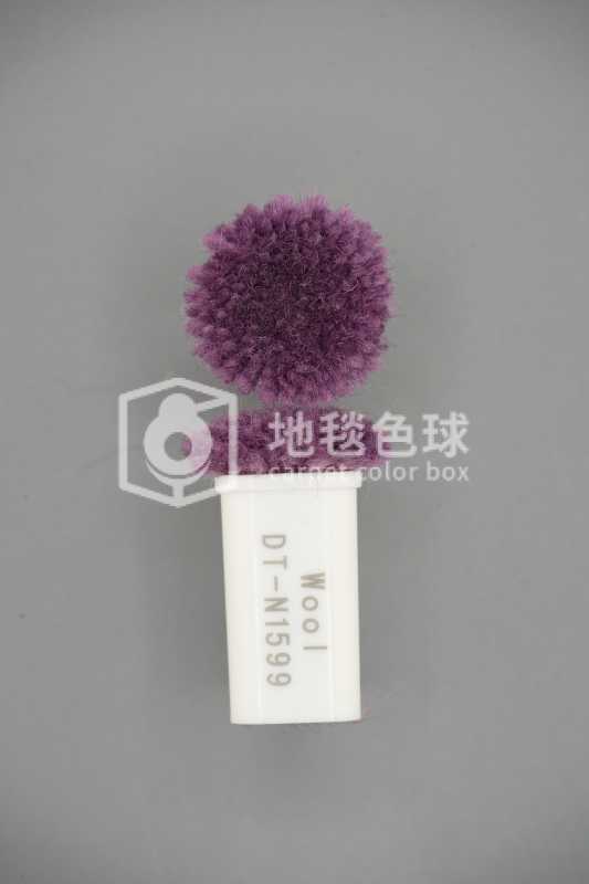 DT N1599